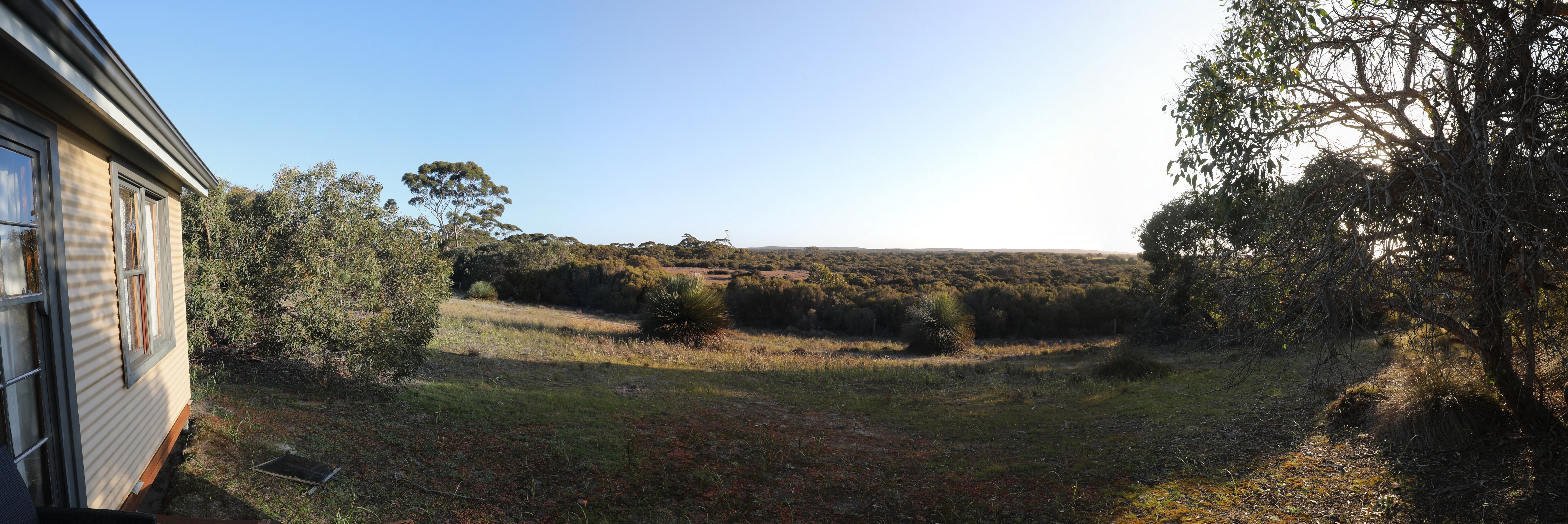 2019 10 02 09 28 55 Canon EOS 5D Mark IV 0004